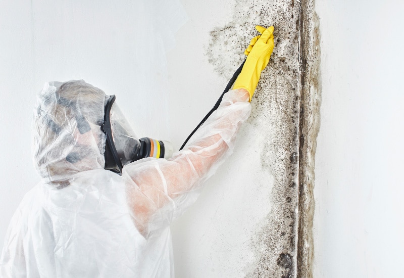 Mold Removal - Personal in sanitation suit testing for mold